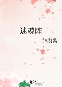 迷魂阵