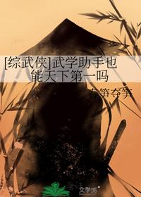 [综武侠]武学助手也能天下第一吗