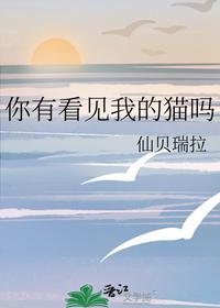 你有看见我的猫吗