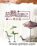 总裁追妻记